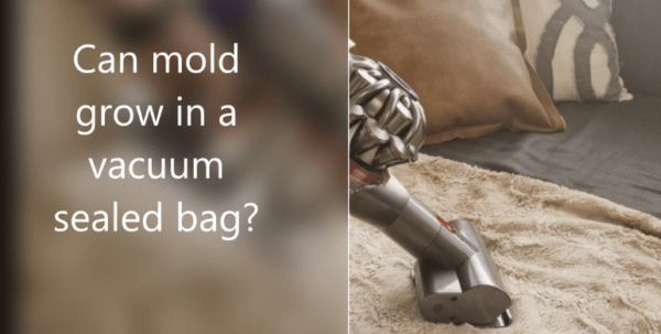 Can mold grow in a vacuum sealed bag?