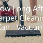 How Long After Carpet Cleaning Can I Vacuum