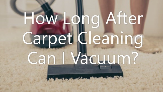 How Long After Carpet Cleaning Can I Vacuum