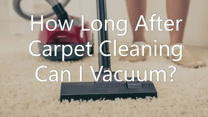 How Long After Carpet Cleaning Can I Vacuum