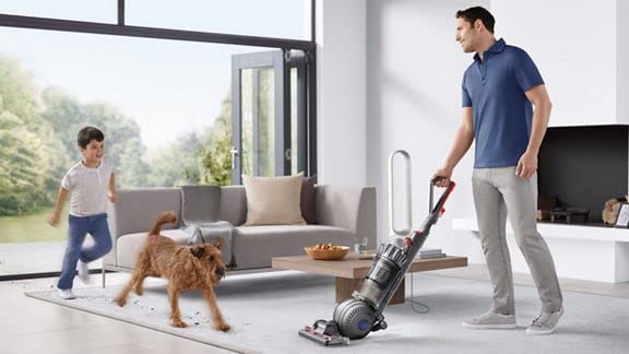 Best vacuum for husky hair - Dyson Ball Animal 2