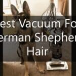 Best vacuum for German Shephard hair