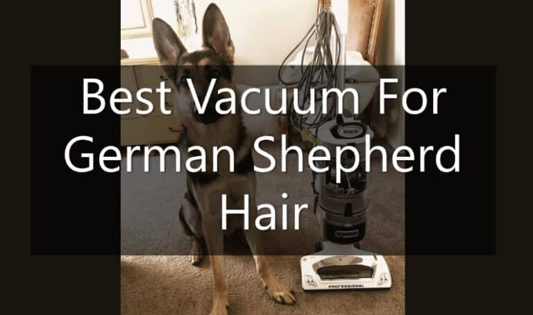 Best vacuum for German Shephard hair