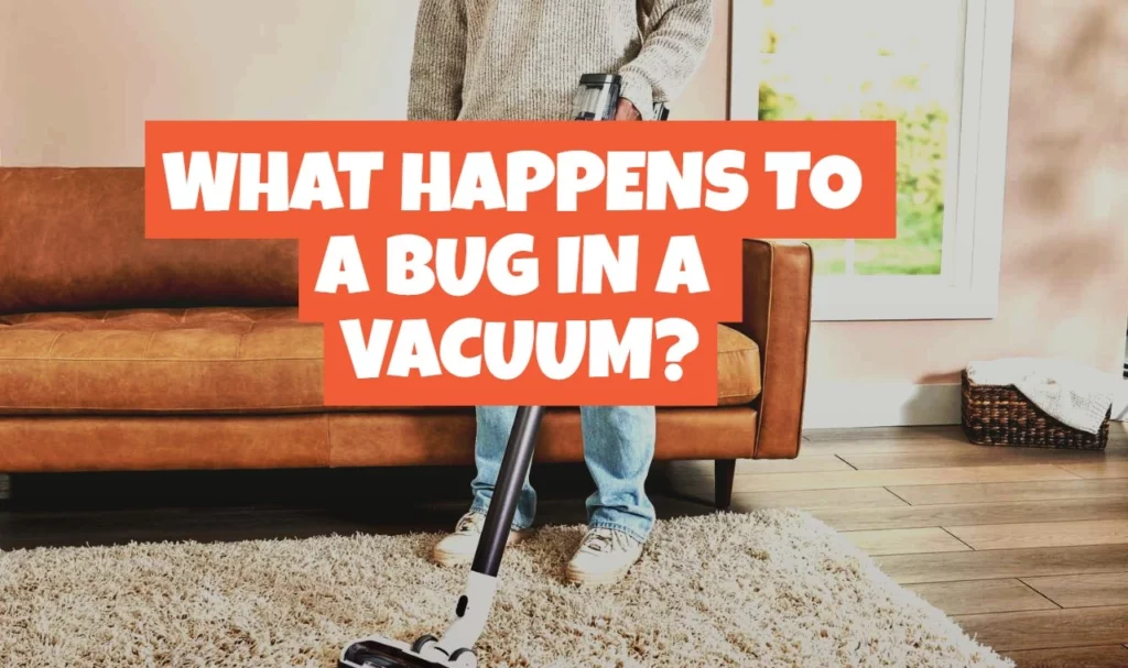 What Happens To A Bug in A Vacuum