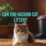 Can You Vacuum Cat Litter