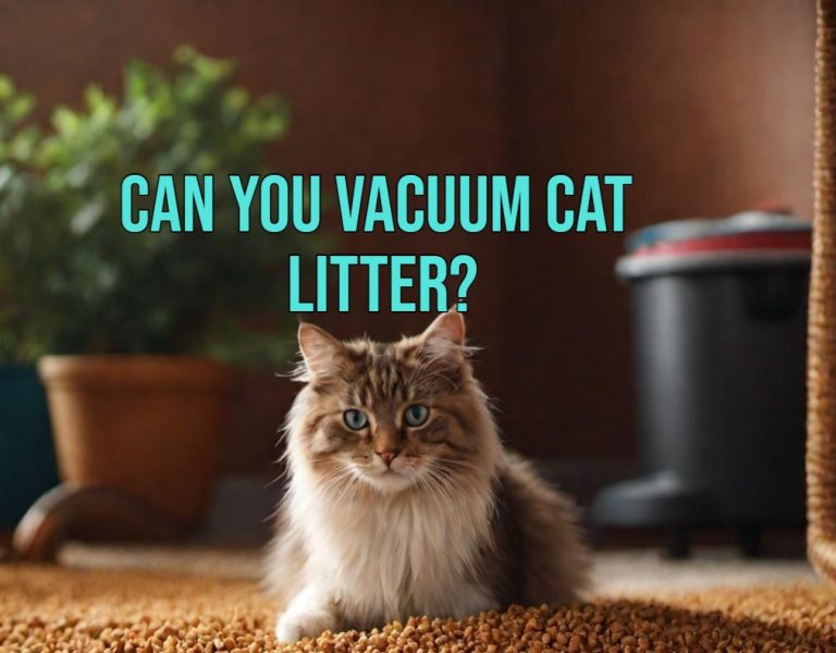 Can You Vacuum Cat Litter